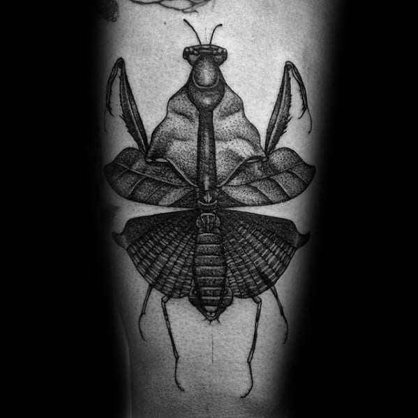 Praying mantis tattoo by Renata de Aguilera El Sitio Ciudad de México  r tattoos