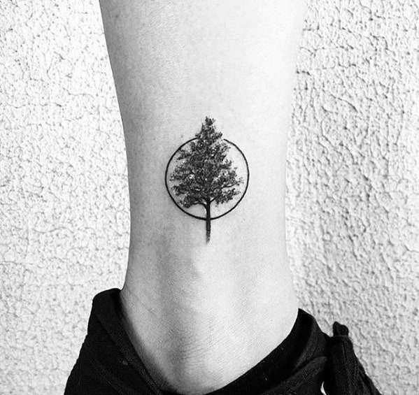 Pine tree circle tattoo on the left inner forearm