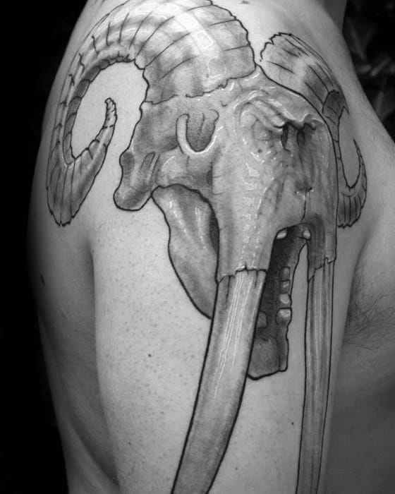 Mens Cool Walrus Skull Tattoo Ideas On Shoulder And Arm