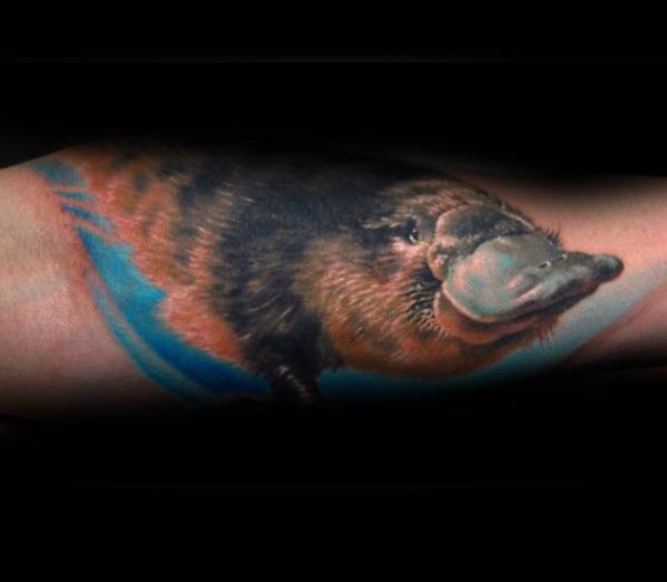 dotwork platypus tattoo