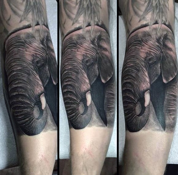 Mens Forearms Elephant With Shiny Tusk Tattoo