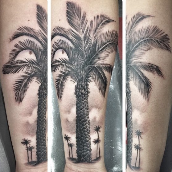 Mens Realistic California Palm Tree Inner Forearm Tattoos
