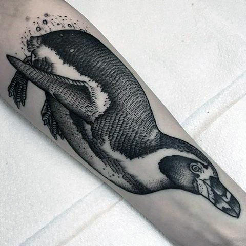 Mens Swimming Penguin Forearm Tattoos