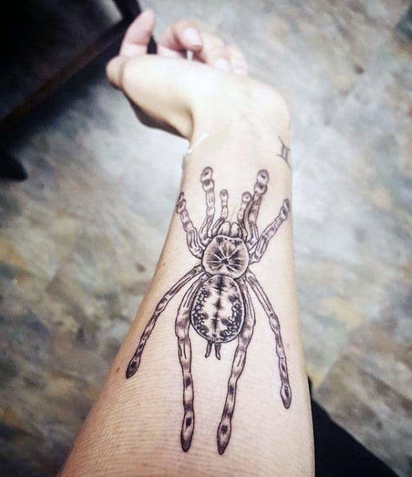 Mens Tarantula Spider Inner Forearm Tattoo Design