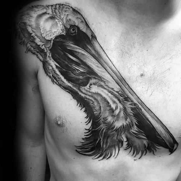Mens Tattoo Ideas With Pelican Design Upper Chest