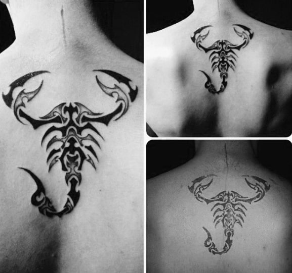 Mens Upper Back Scorpion Tribal Tattoos