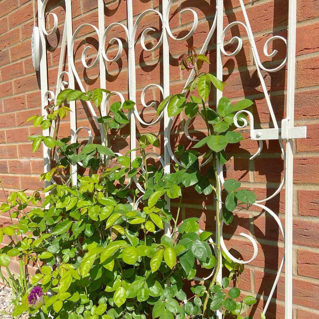 white metal garden trellis brick wall 