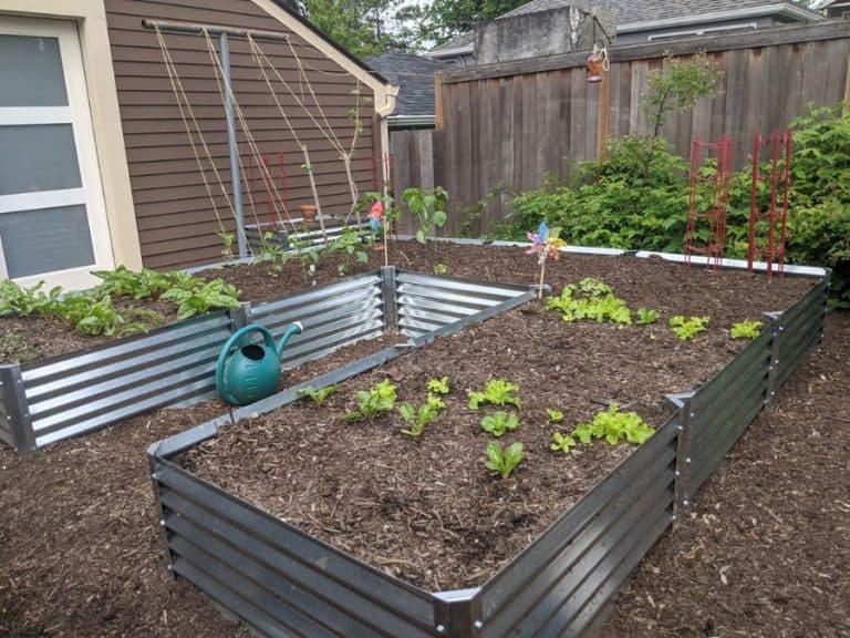 Practical and Stylish Raised Garden Bed Ideas