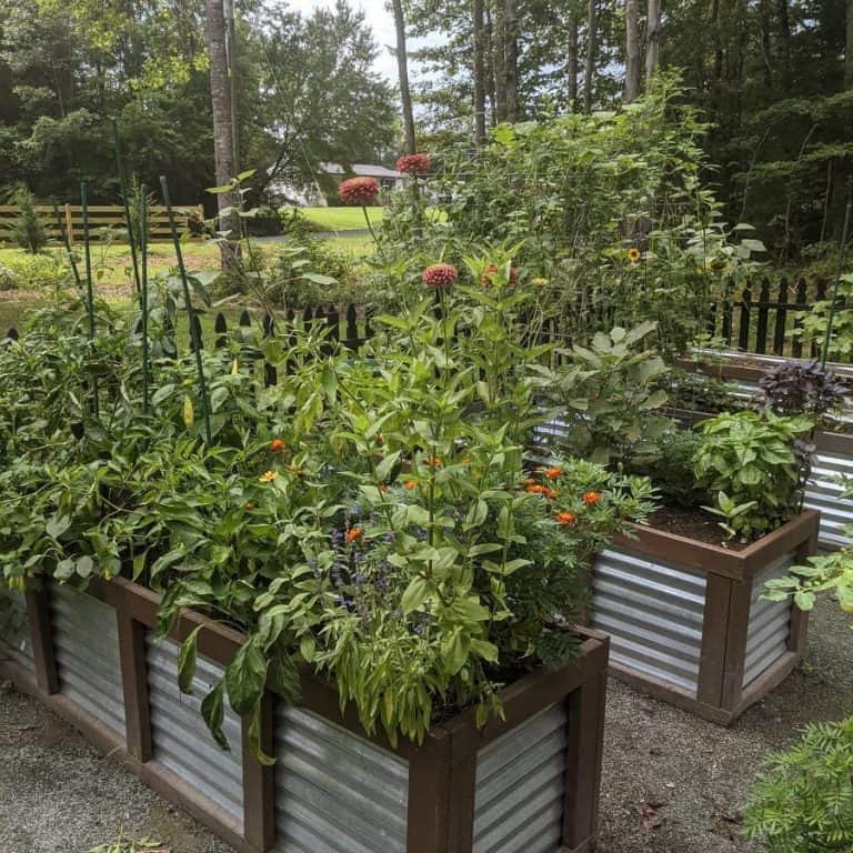 Raised Garden Bed Ideas To Invigorate Your Backyard