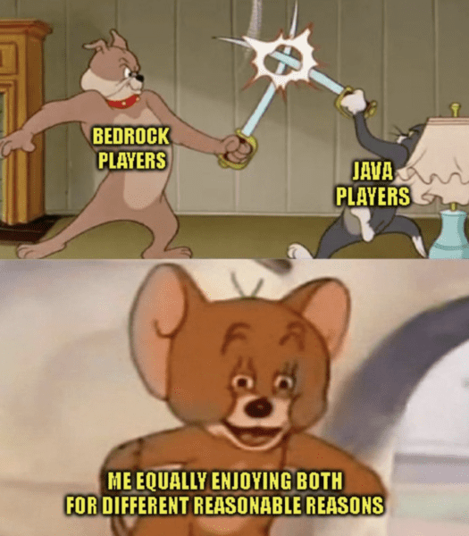 minecraft-memes-18