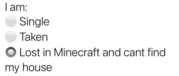 minecraft-memes-5