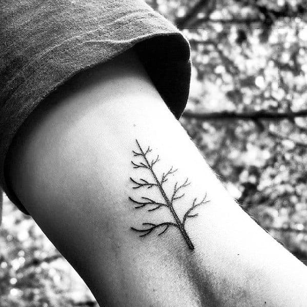 Minimalist Small Mens Tree Branches Tattoo On Arm