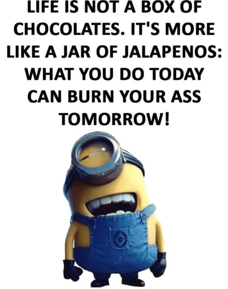 The Best Minion Memes Next Luxury