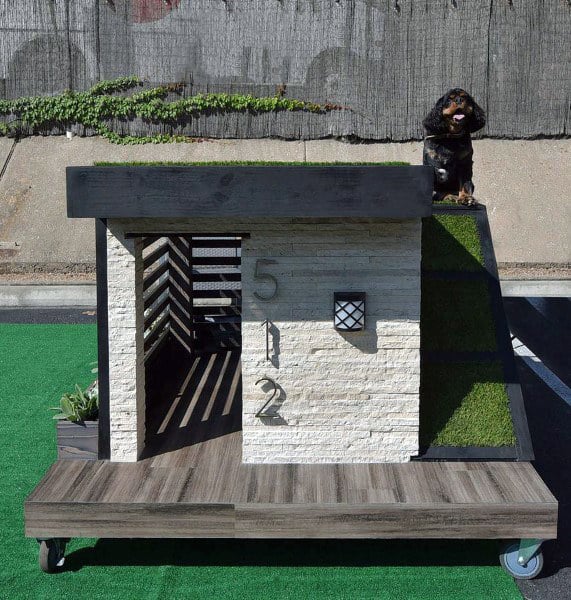 rolling dog house