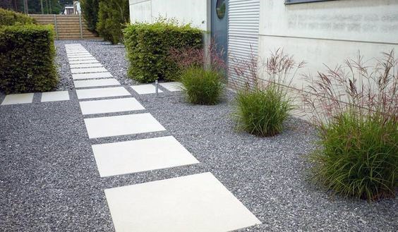 Modern Landscaping Plants