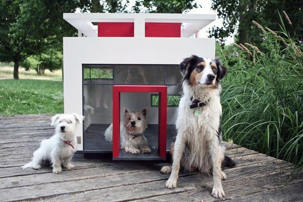 Modern Luxury Dog House Designs