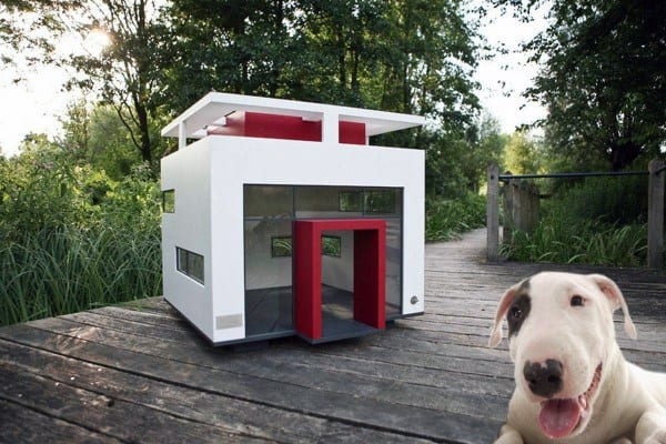 fancy dog houses