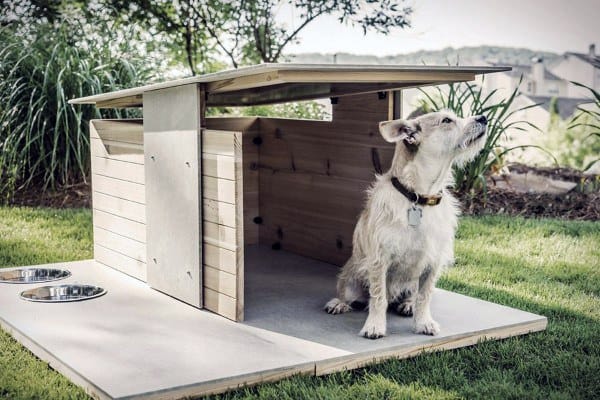 dog house with patio