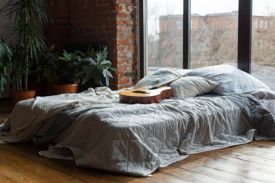 minimalist apartment bedroom with plants 