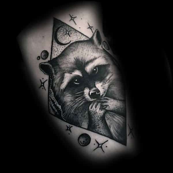 Raccoon Tattoo Drawing Flash Sketch European style illustrations wolf  head watercolor Painting animals png  PNGEgg