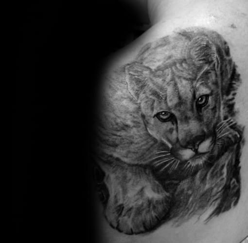 Mountain Lion Shaded Realistic Shoulder Guys Tattoos