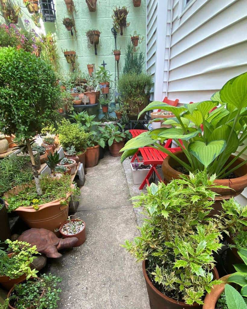 narrow backyard patio with lots of plants 