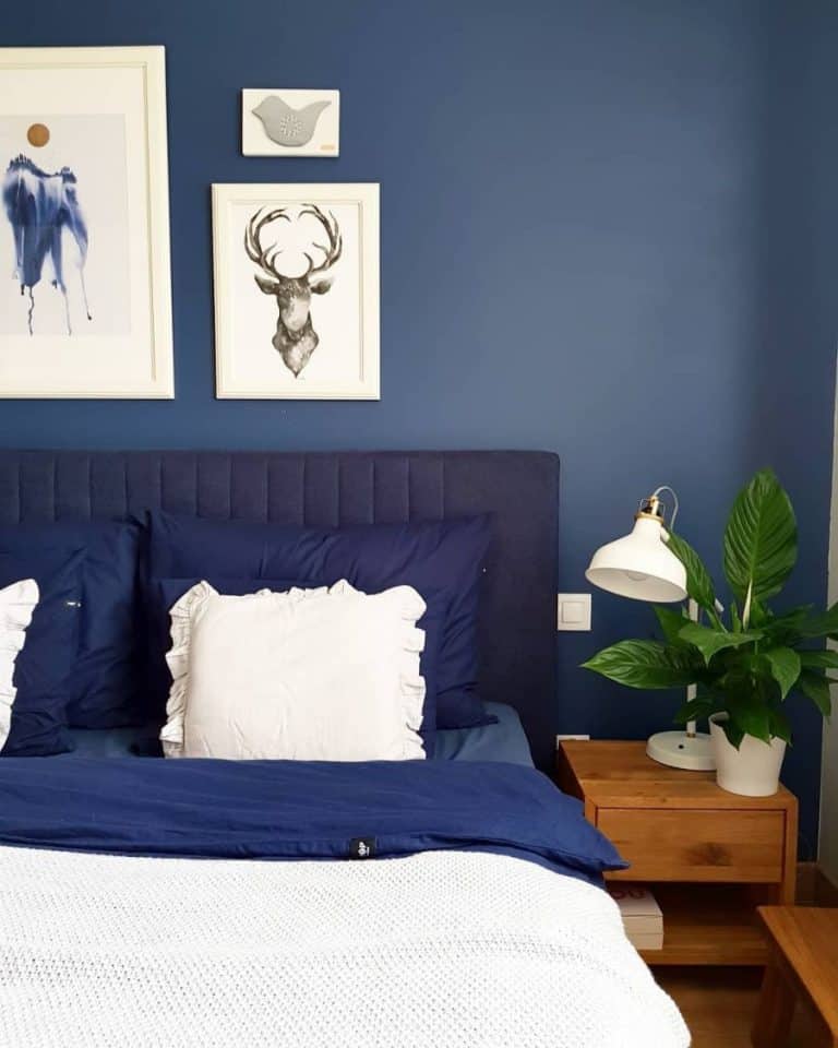 Calming and Stylish Blue Bedroom Decor Ideas