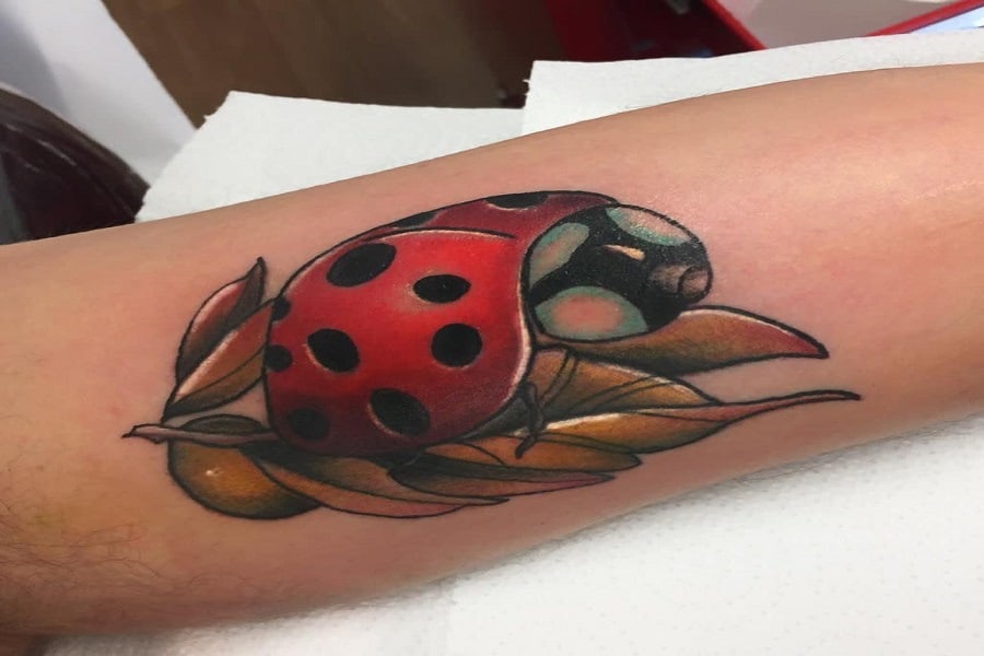 Top 31 Best Ladybug Tattoo Ideas – [2022 Inspiration Guide]