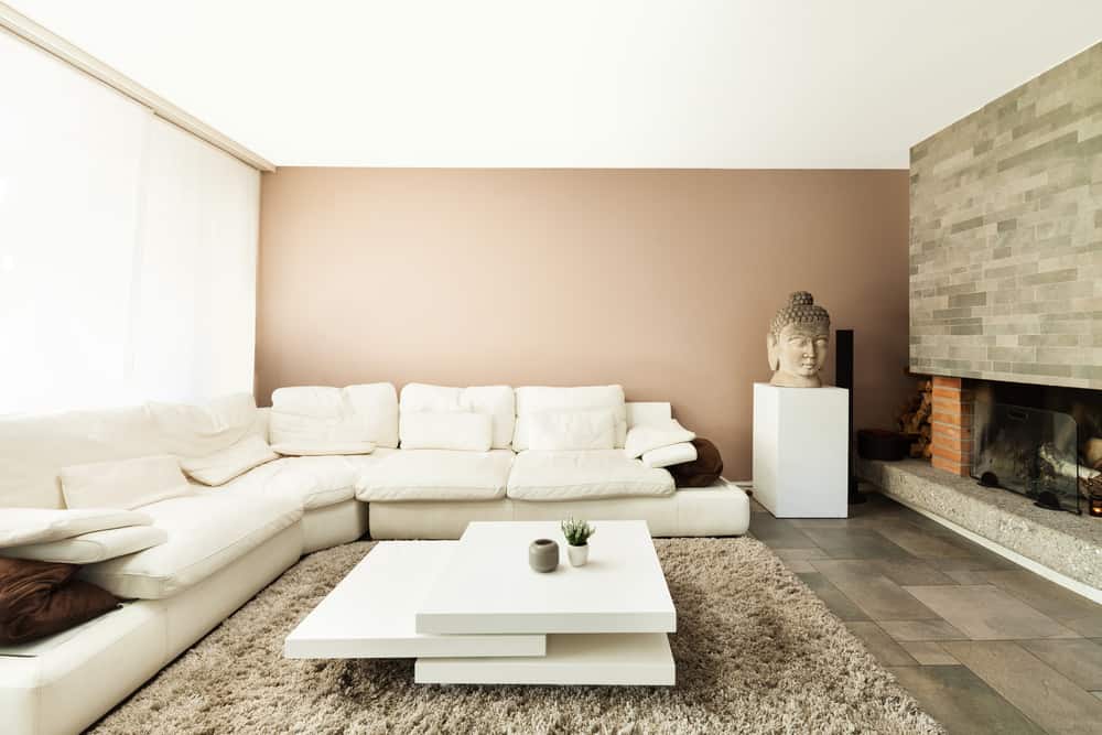 Neutral Minimalist Living Room 4