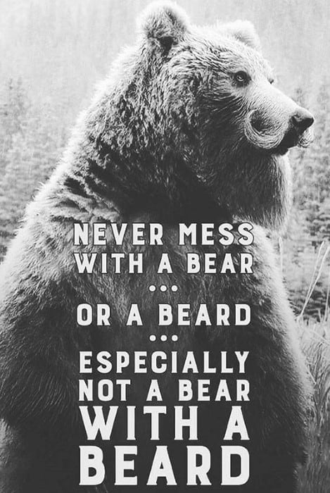 Never Mess With A Bear Or Beard Especially Not A Bear With A Beard Memes