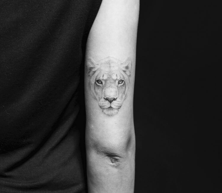Nice Black Realistic Lioness Tattoo