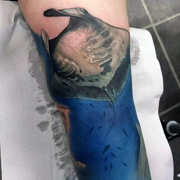 Ocean Water Sleeve Manta Ray Mens Tattoo Designs