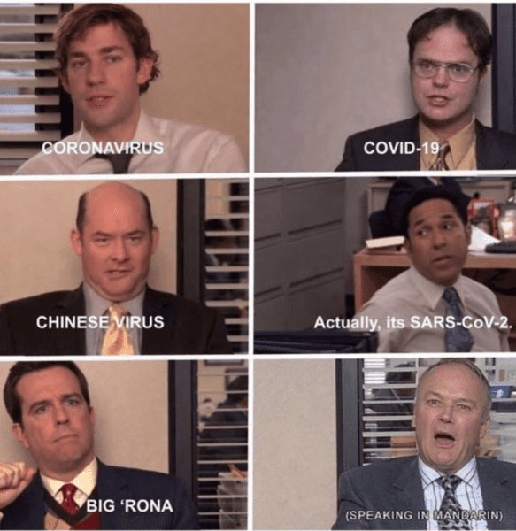 30 Of The Best The Office Memes To Get You Through Your Work Day   Office Memes 8 1492x1536 