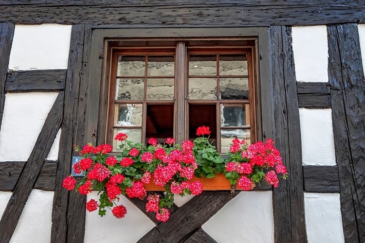 old wooden window cottage trim frame window sill planter