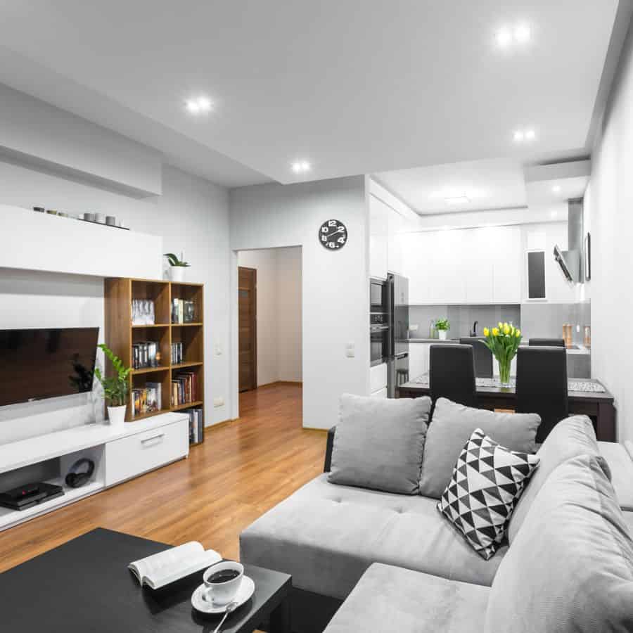 open plan living room and kitchen in small apartment with gray sofa 