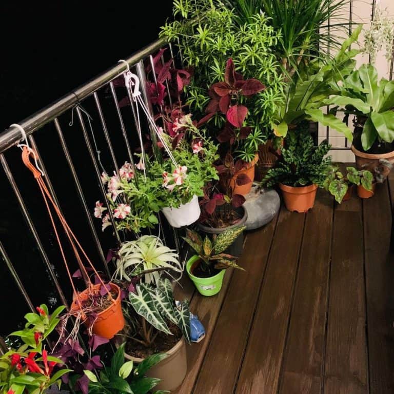 Create Your Dream Balcony Garden with Innovative Design Ideas