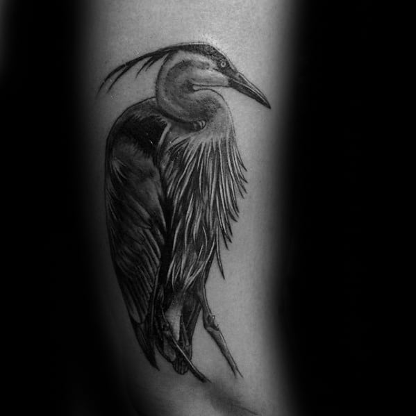 Outer Arm Heron Tattoo Design On Man