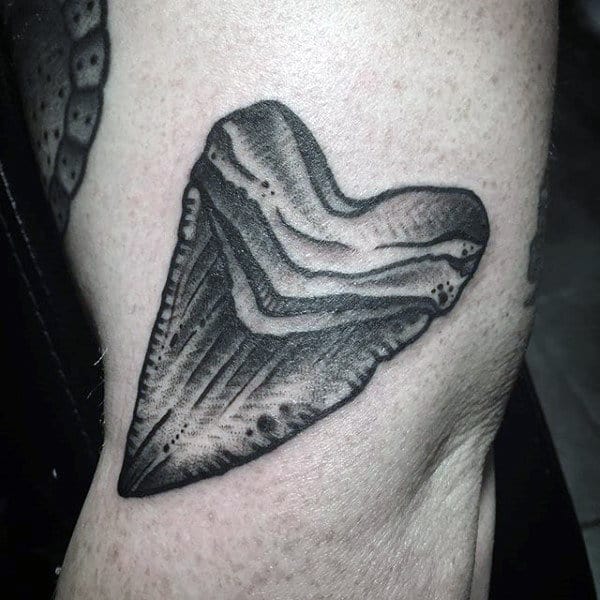 Shark tooth tattoo by Deborah Pow  Tattoogridnet