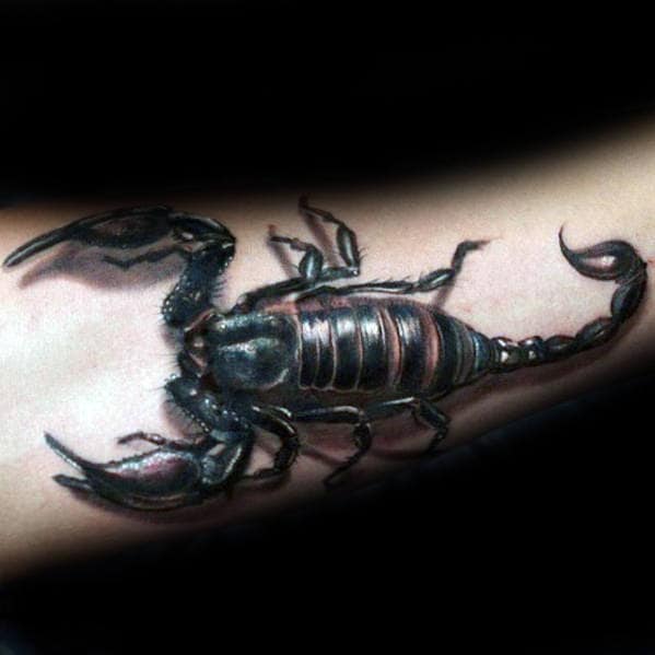Outer Forearm Realistic Tattoo Of 3d Scorpion On Gentleman