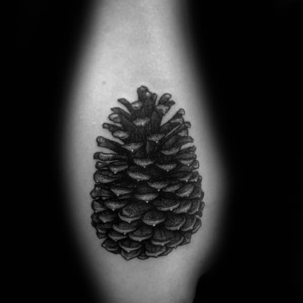 60 Pine Cone Tattoo Designs For Men [2023 Inspiration Guide]