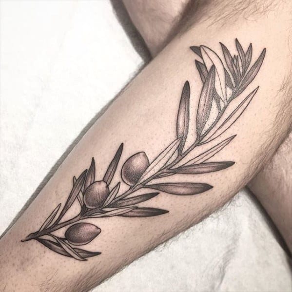 Outer Leg Guys Olive Tree Tattoo Design Ideas