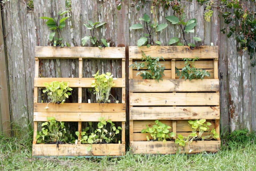 wood pallet vertical garden