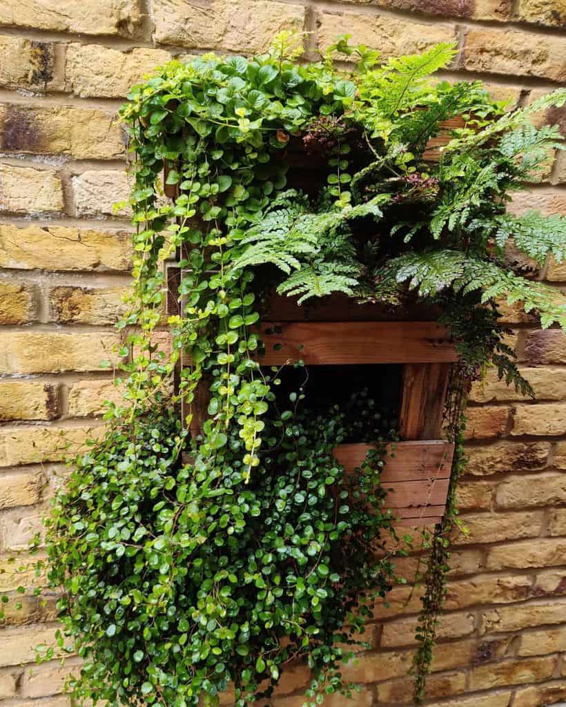 pallet vertical garden 