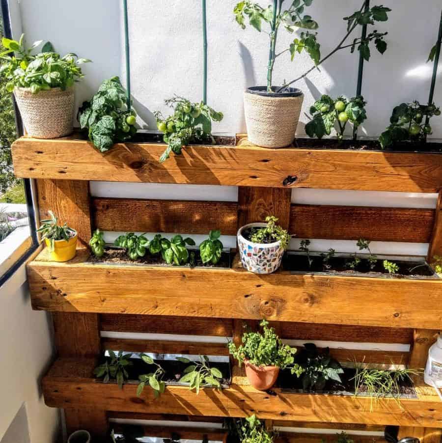 stained pallet vertical garden with pot plants