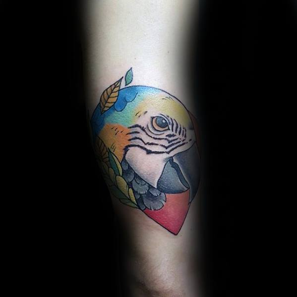 Parrot Guys Tattoo Designs On Arm