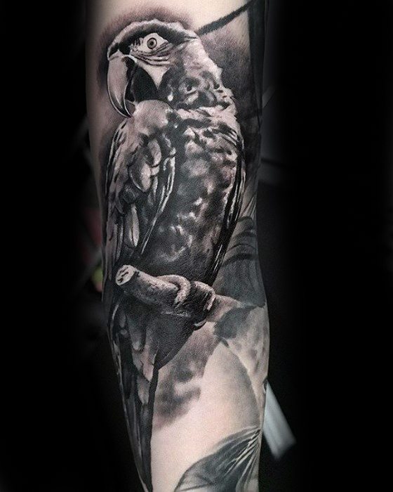 Parrot Guys Tattoo Ideas On Forearm With 3d Realistic Design