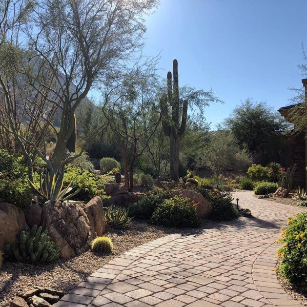 paver walkway designs for desert landscaping with cacti 
