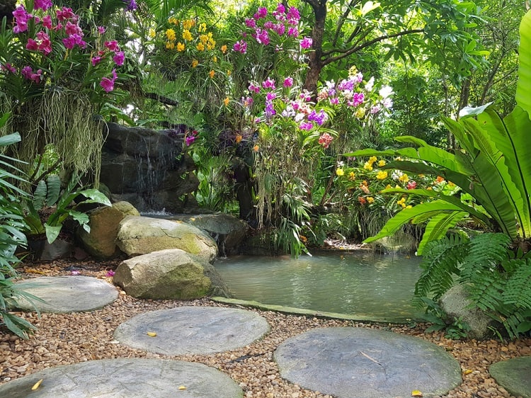 Peaceful Orchid Backyard Garden Pond