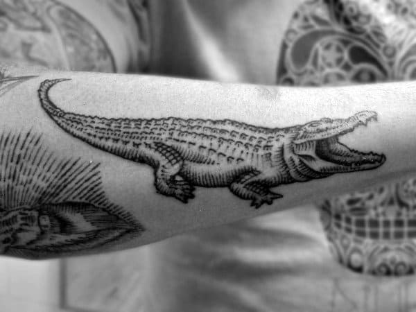 Pencil Art Alligator Tattoo Men On Arms
