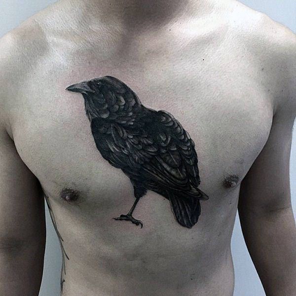Perfect Raven Tattoo On Chest For Guys
